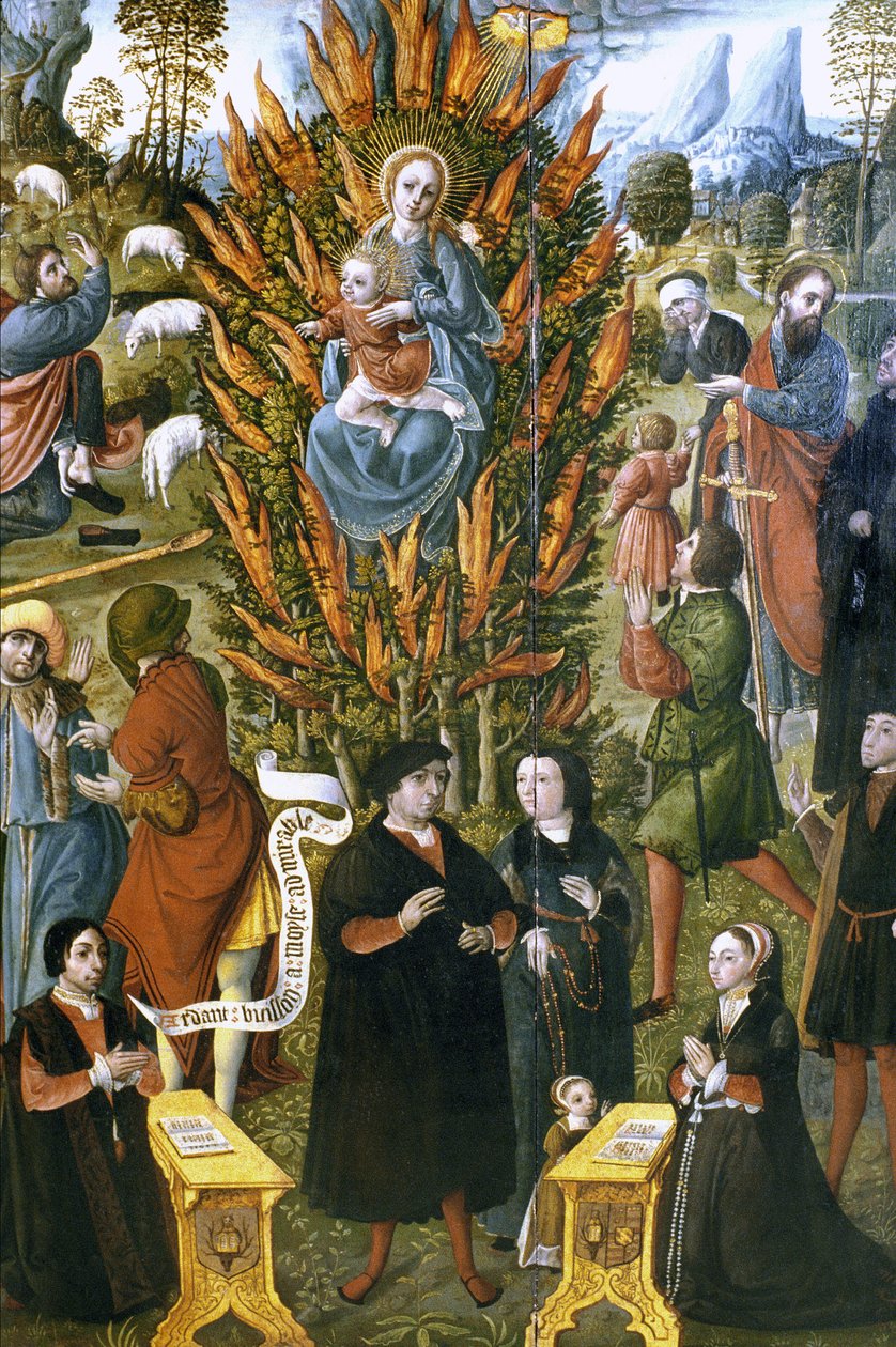 Franciaország - Somme - Department 80 - Abbeville - DR Musee Boucher de Perthes - Szűz az égő bokorral, Jean de Cermoise megbízásából 1526 és 1531 között. Olaj, fa alkotó: Unknown
