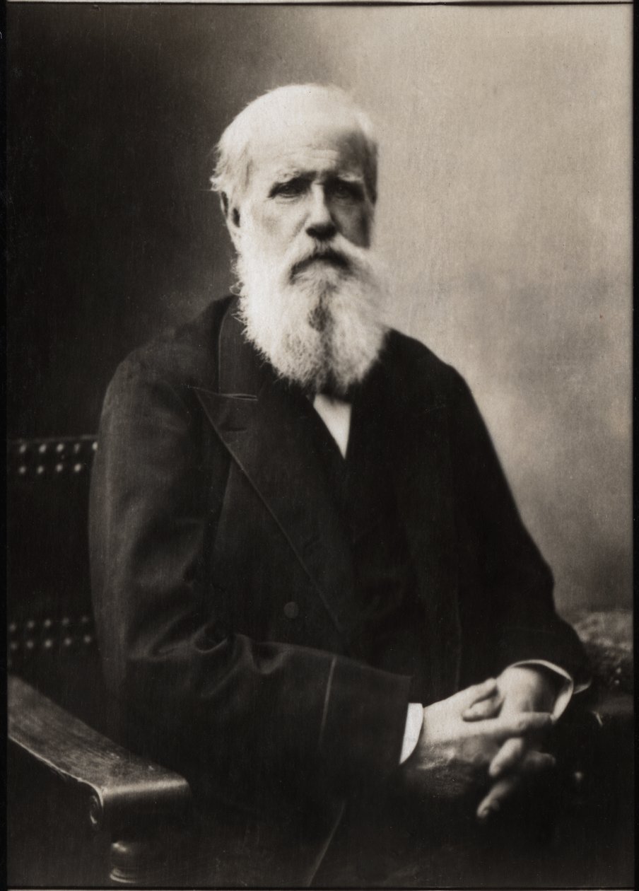 Dom Pedro II (II. Péter) (1825-1891), brazil császár portréja. alkotó: French Photographer