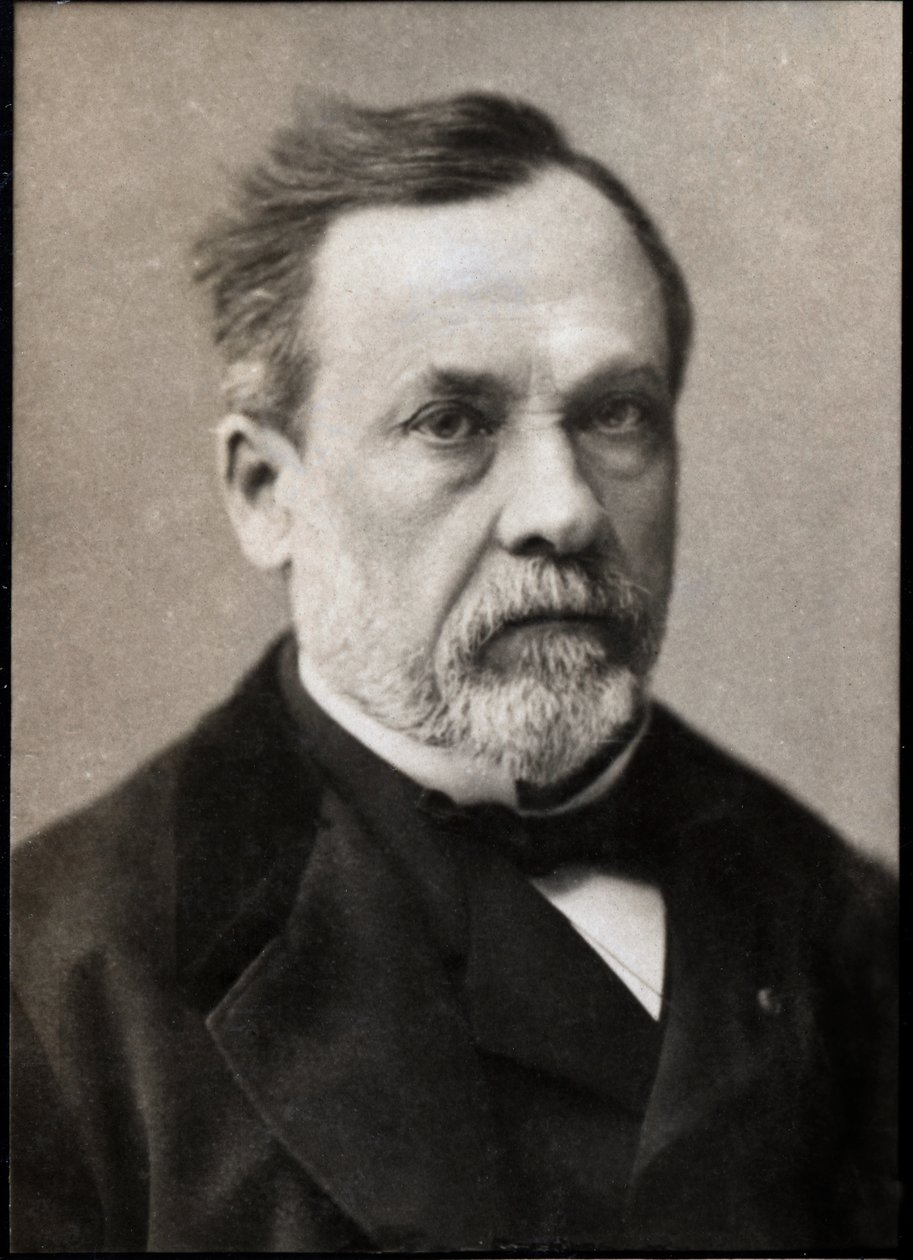 Louis Pasteur (1822-1895) francia kémikus és mikrobiológus portréja. alkotó: French Photographer