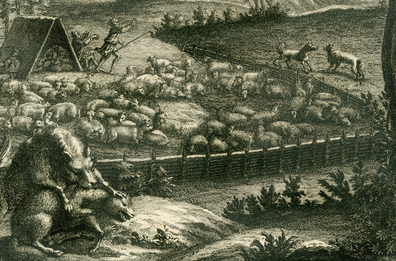 Farkas megtámad egy juhot, 1731 (rézmetszet) (398066 részlet) alkotó: German School