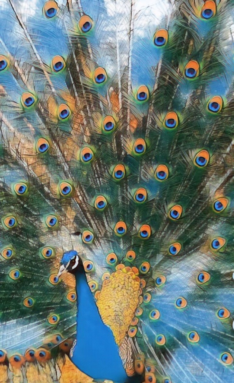 Pavo Real. alkotó: Margareta Uliarte