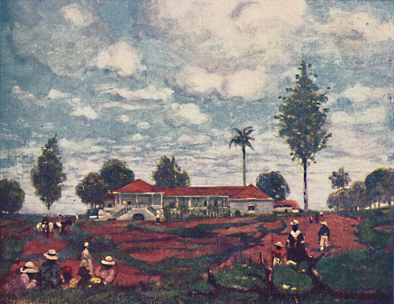 A kávéfarm, 1916 alkotó: A. S. Forrest