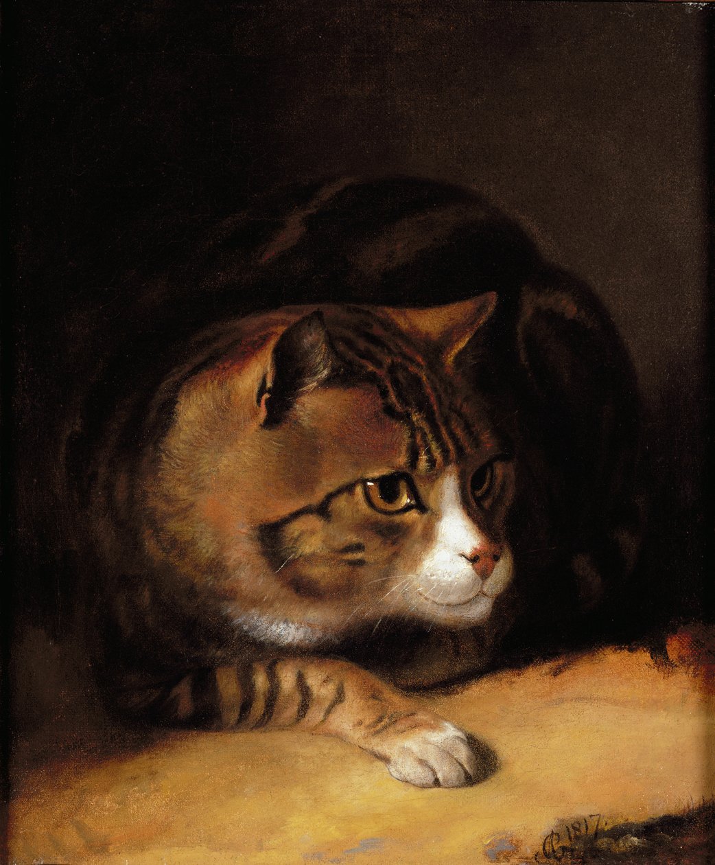 Egy cirmos macska alkotó: Abraham Cooper