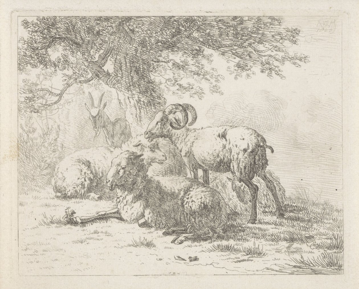 Birka és kecske alkotó: Abraham Hendrik Winter
