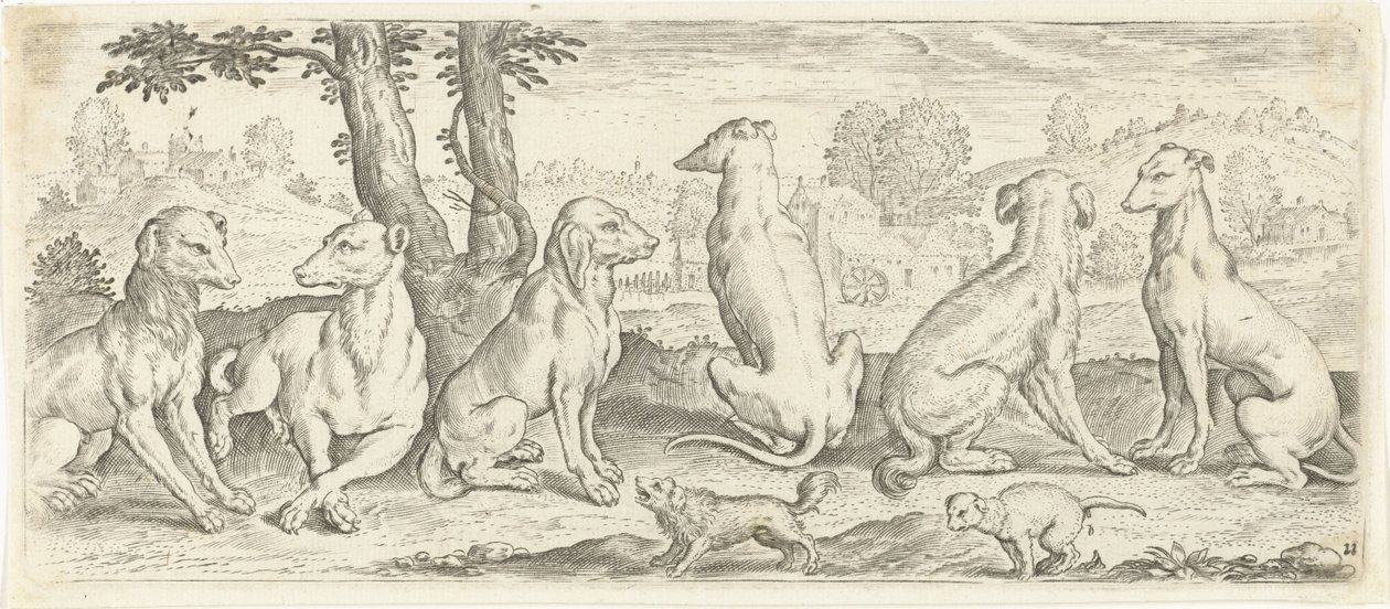 kutyák Állatok (sorozat címe) alkotó: Abraham de Bruyn (possibly)