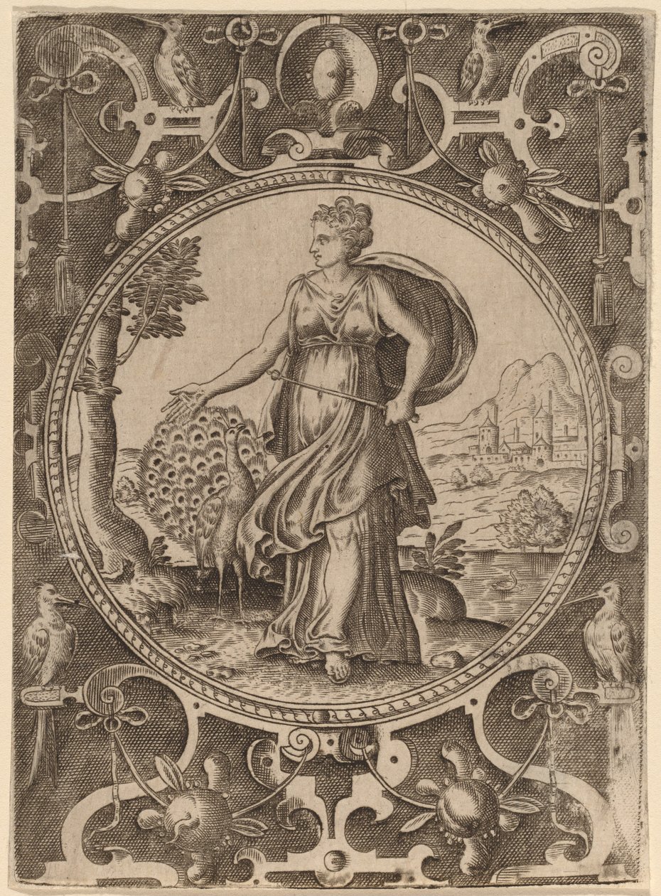 Juno alkotó: Abraham de Bruyn