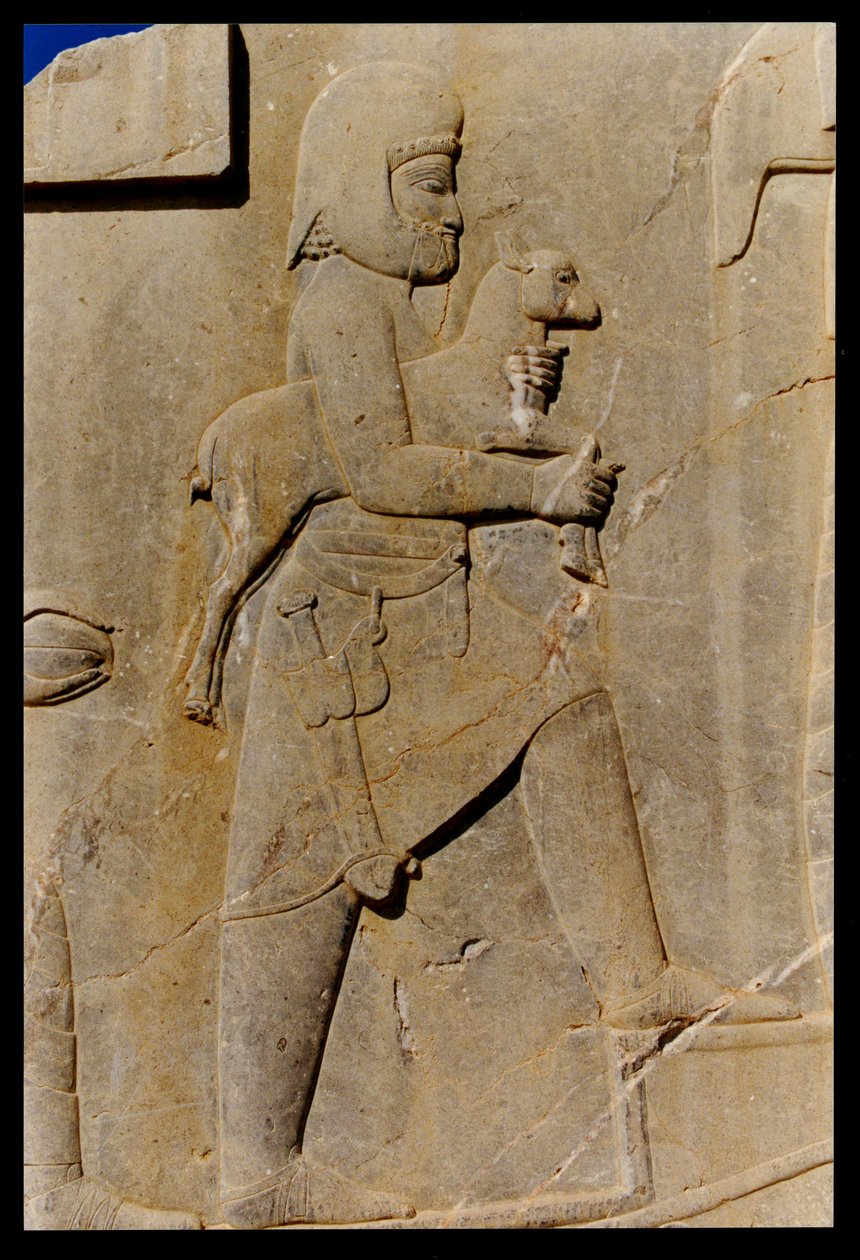 Egy méd, aki egy áldozati bárányt visz fel Dareiosz palotájának déli oszlopcsarnokának keleti lépcsőjén, Kr. e. 485 körül. alkotó: Achaemenid