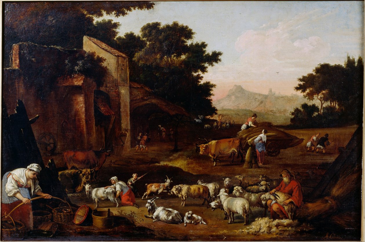 Birkanyírás alkotó: Adam Colonia