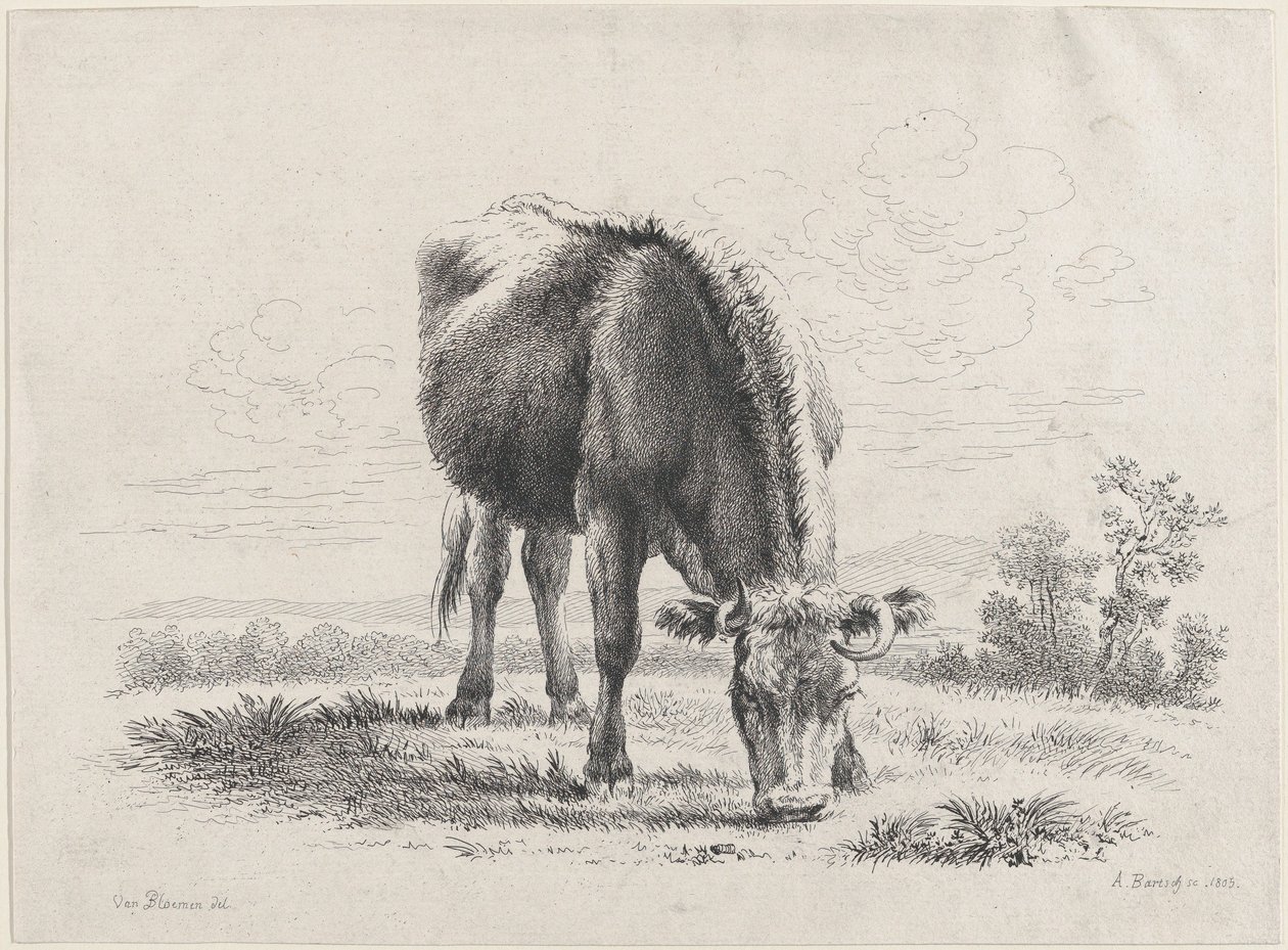 Tehénlegeltetés, 1805., 1805. alkotó: Adam von Bartsch
