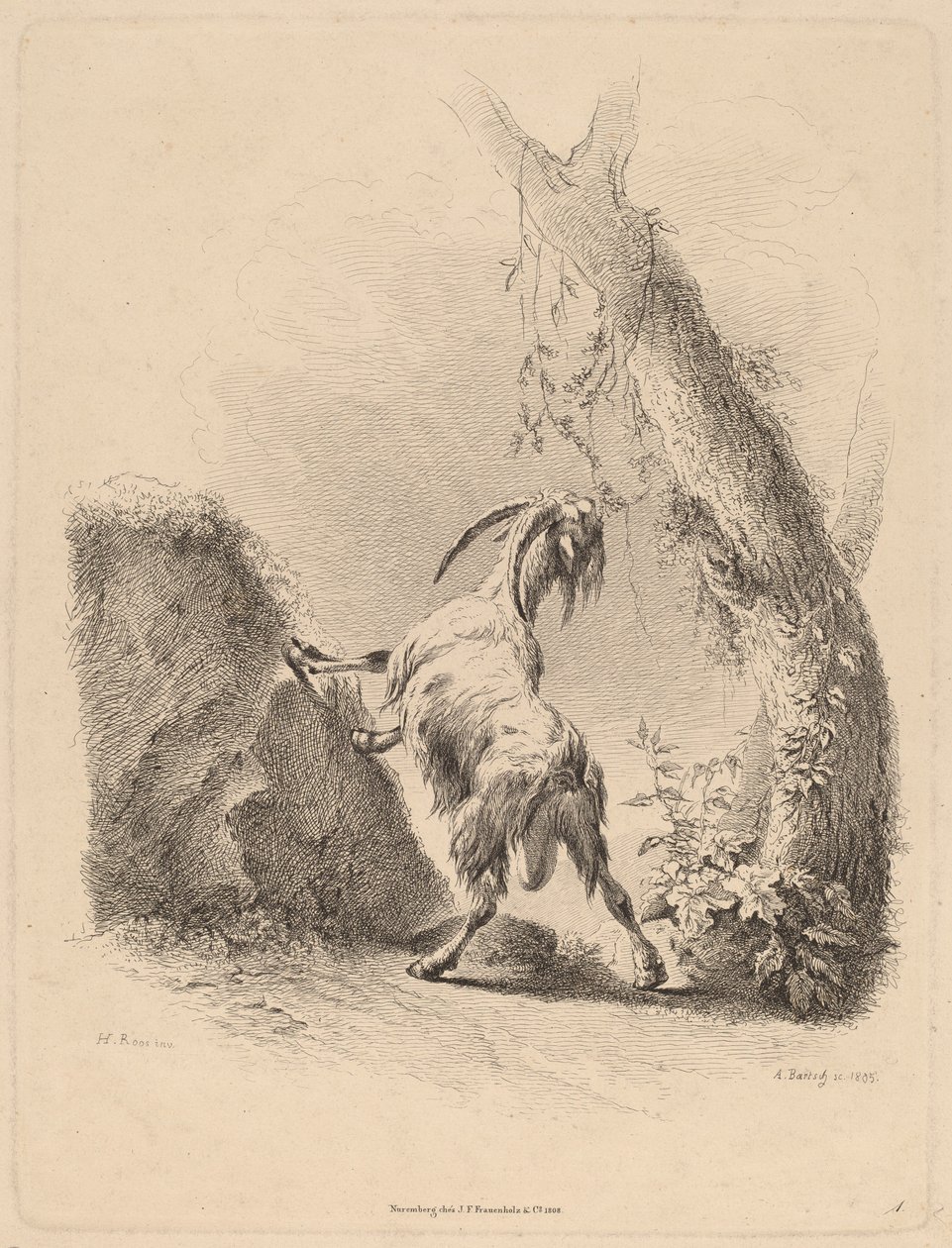 Kecske tájban, 1805. alkotó: Adam von Bartsch