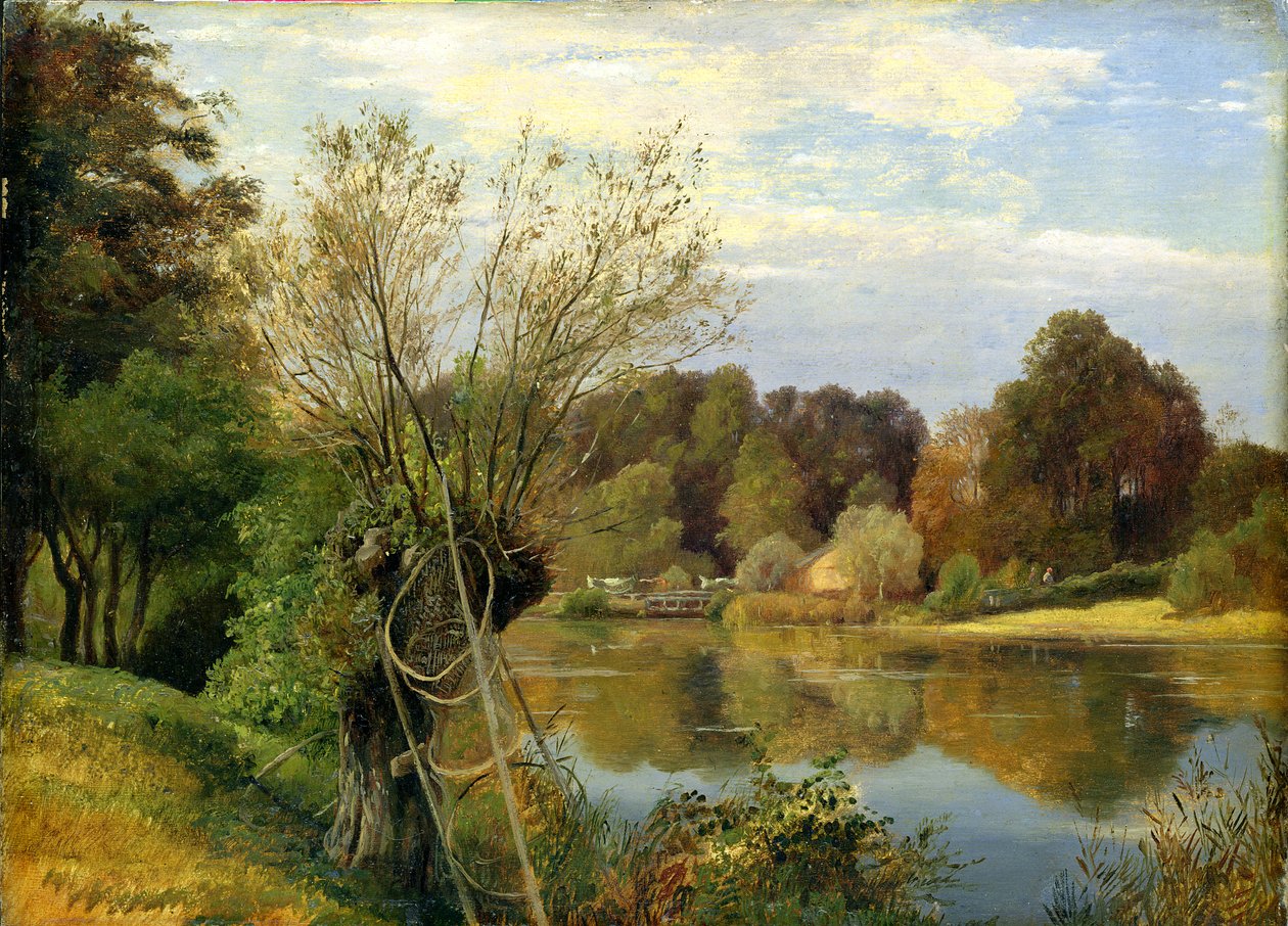 Az Aumuhle közelében, 1830 körül (olaj, papír a kártyára rögzítve) alkotó: Adolf Vollmer