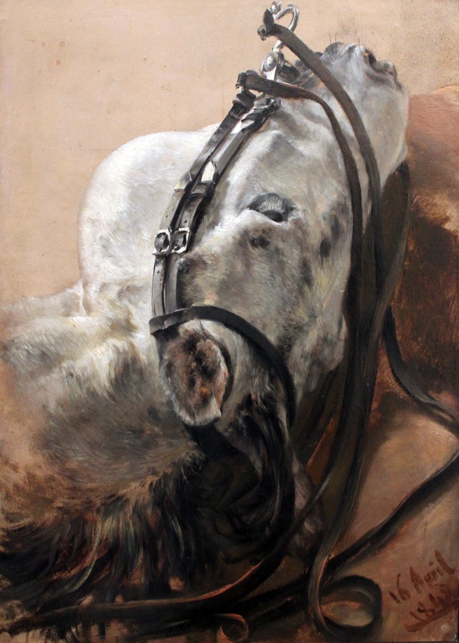 Ló tanulmány alkotó: Adolph Menzel
