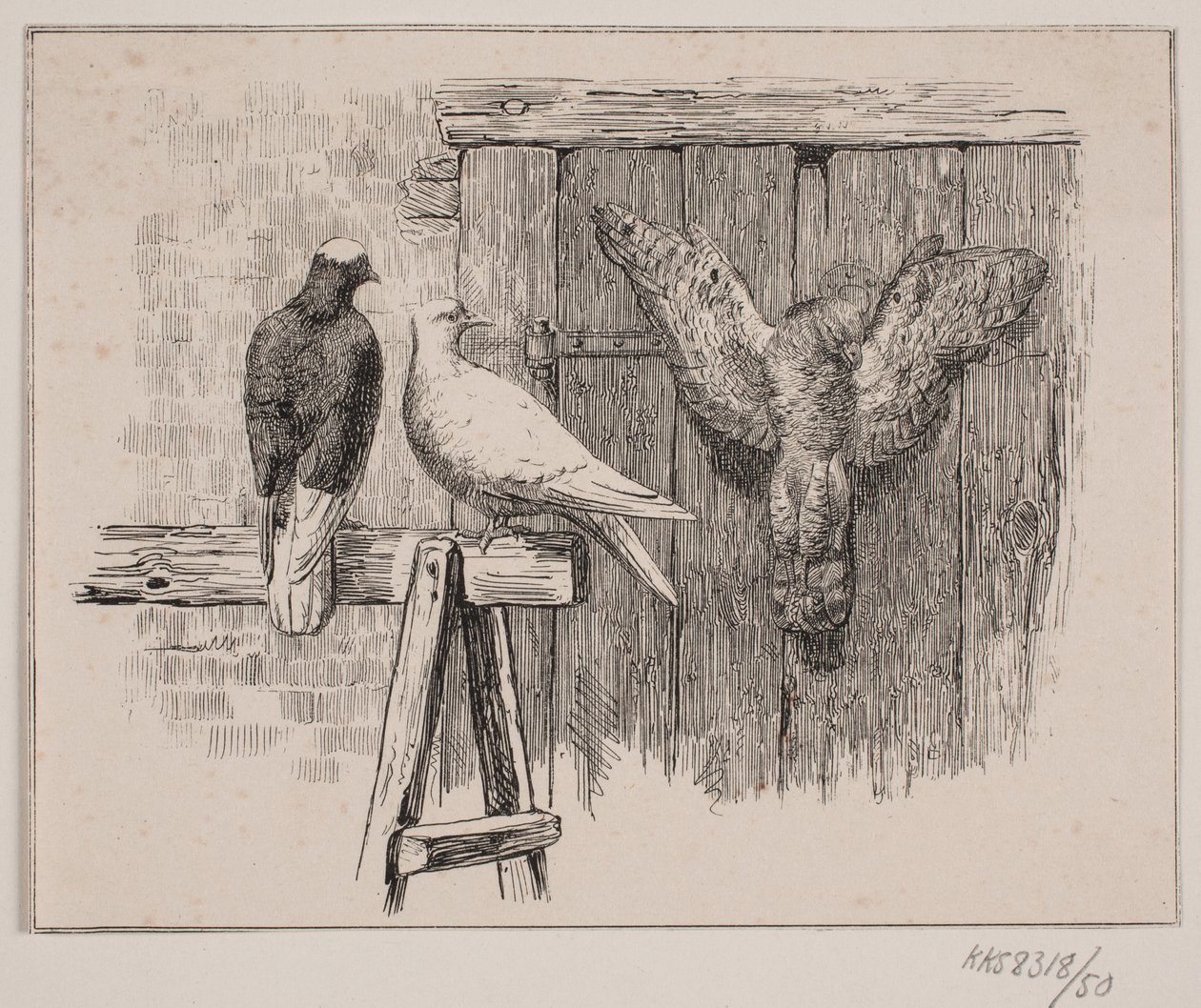 A galambok alkotó: Johan Adolph Kittendorff
