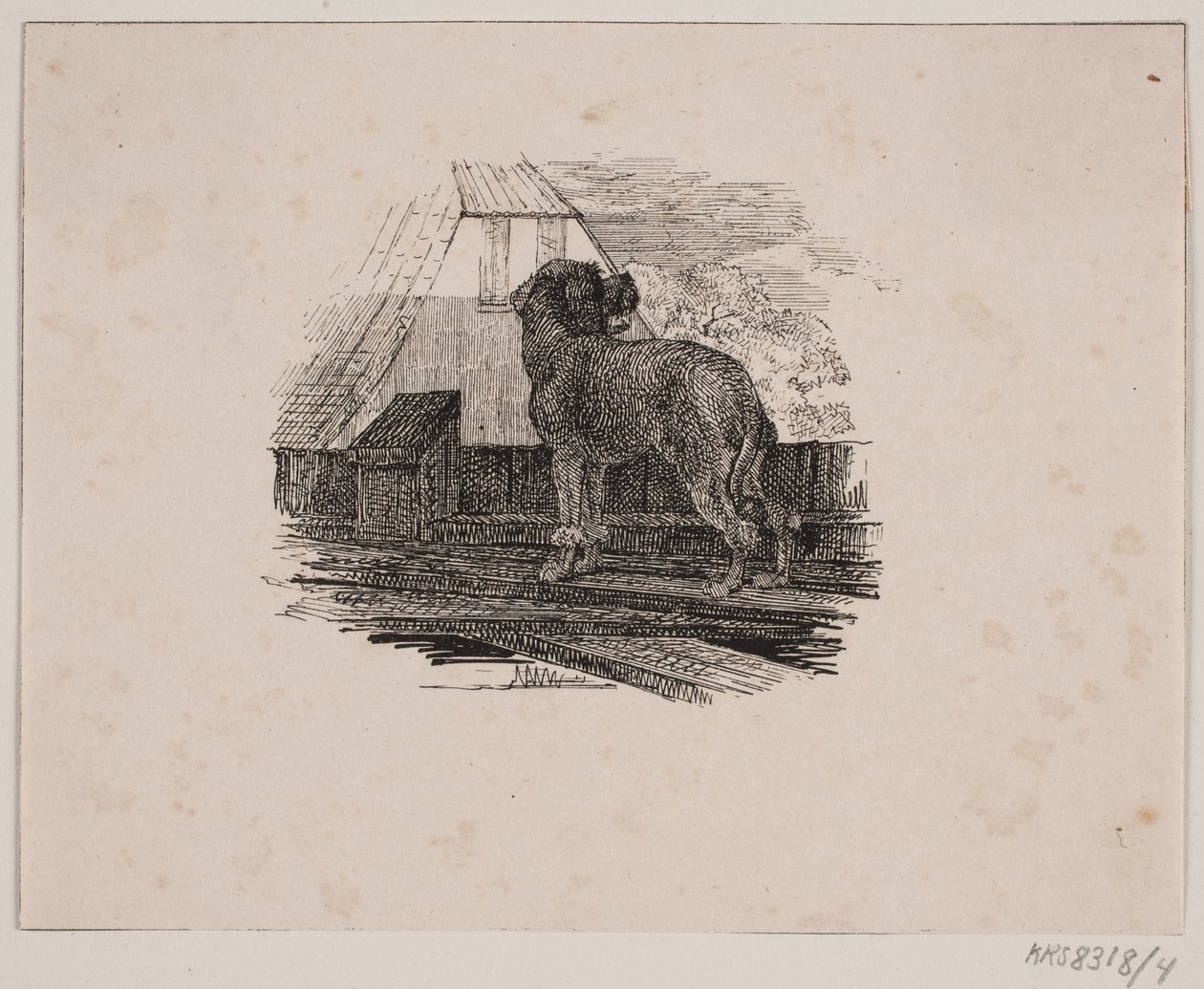 Az uszkár kutya alkotó: Johan Adolph Kittendorff