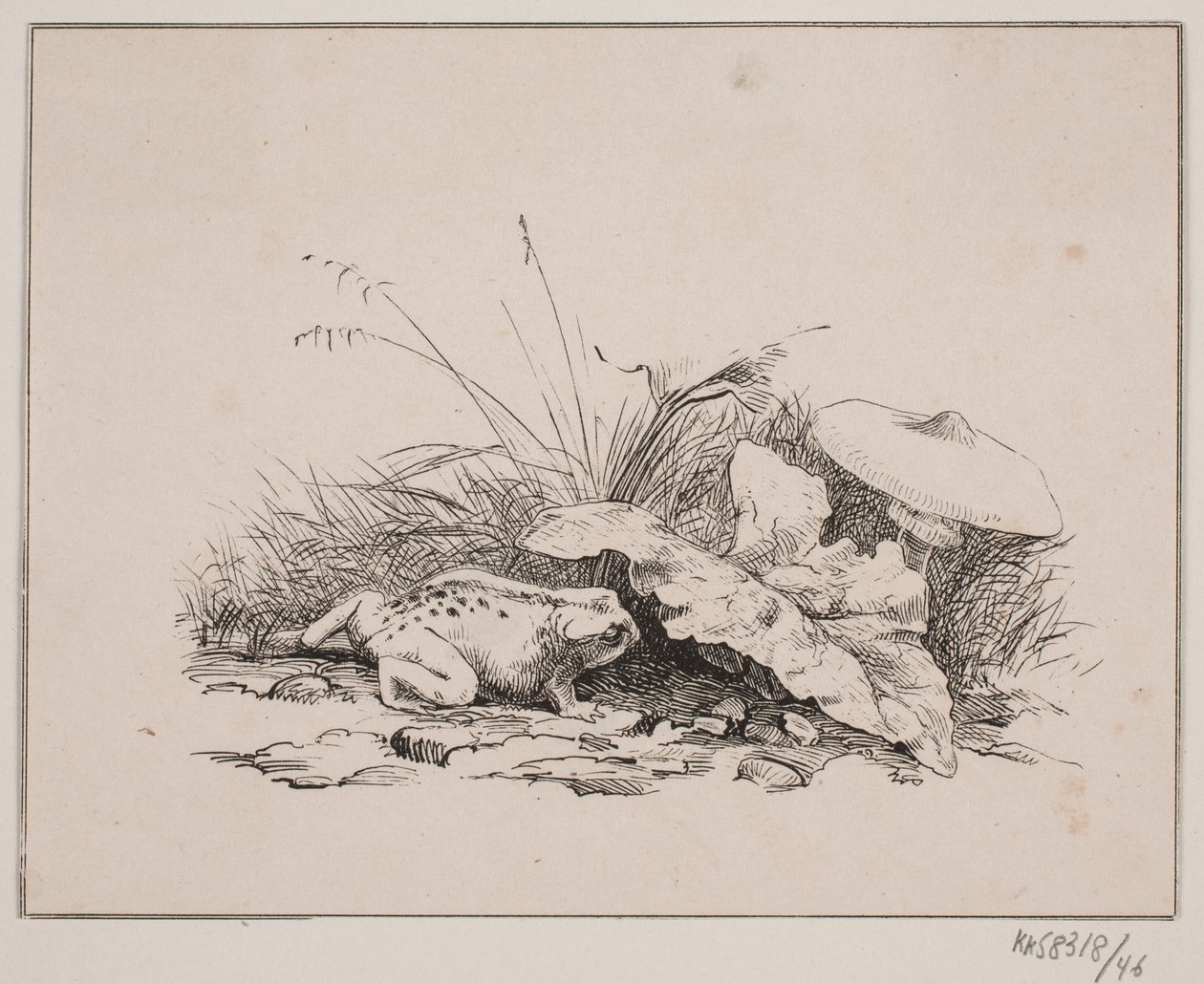 A varangy alkotó: Johan Adolph Kittendorff