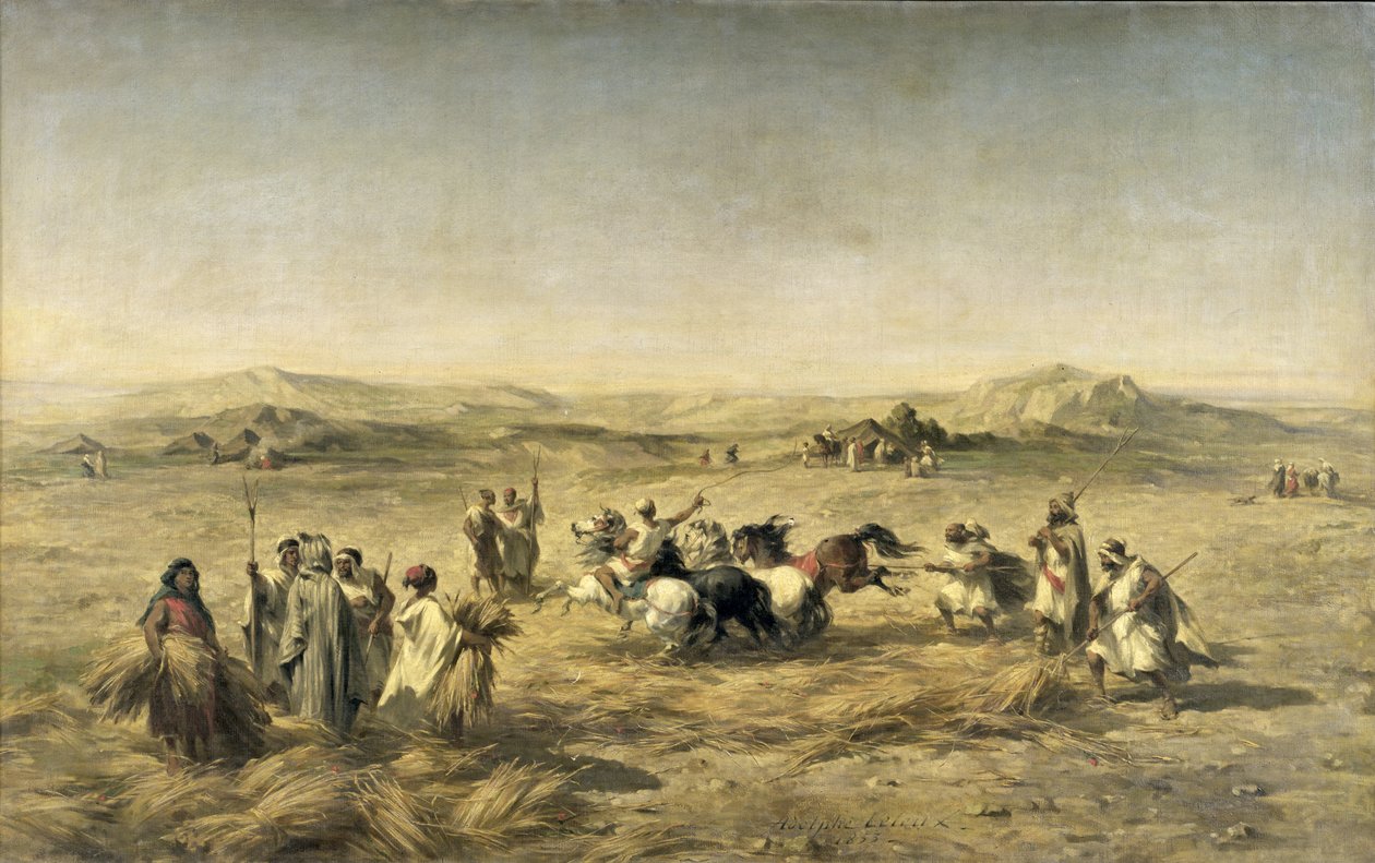 Búzacséplés Algériában, 1853 alkotó: Adolphe Pierre Leleux