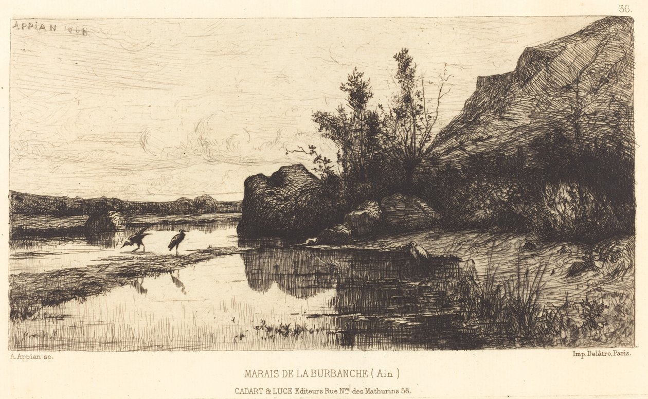 A Burbanche mocsara alkotó: Adolphe Appian