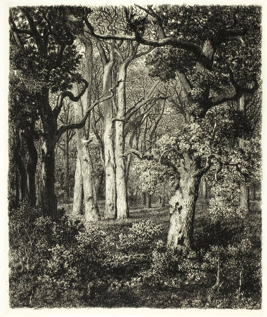 Old Oaks Bas Bréau-ban alkotó: Adolphe Martial Potemont