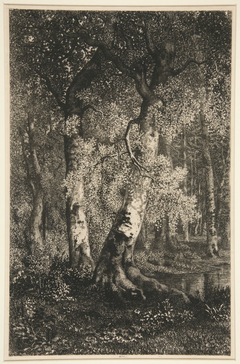 A bükkösök alkotó: Adolphe Martial Potemont