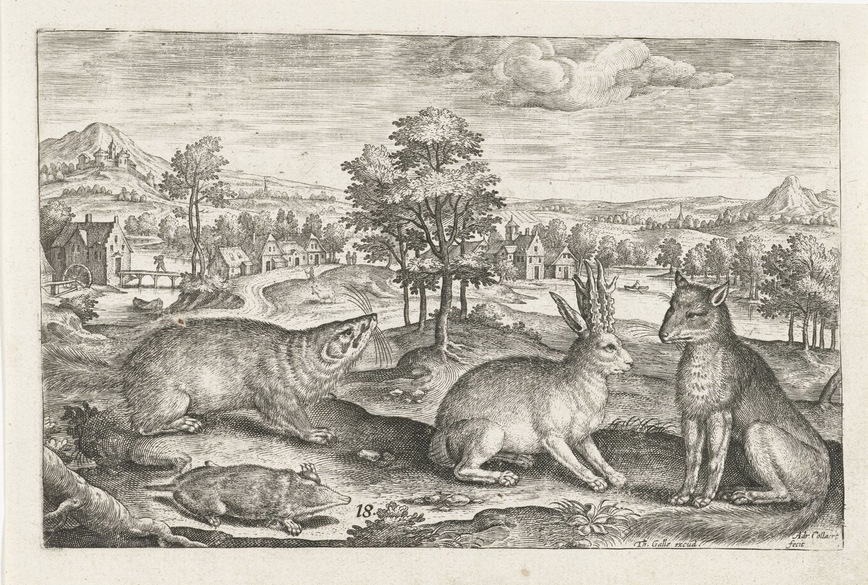 erdei állatok Négylábú állatok (sorozat címe) Animalivm Qvaddrvpedvm (sorozat címe) alkotó: Adriaen Collaert