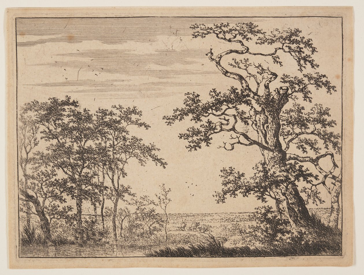 A tó alkotó: Adriaen Hendricksz. Verboom