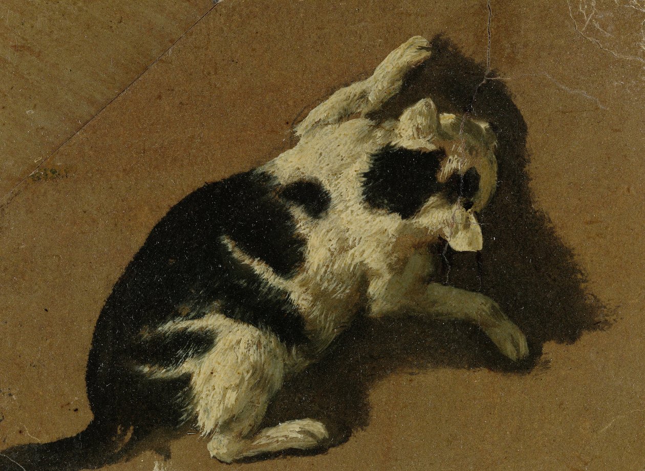 Macska játszik (ecsetrajz) alkotó: Adriaen van de Velde