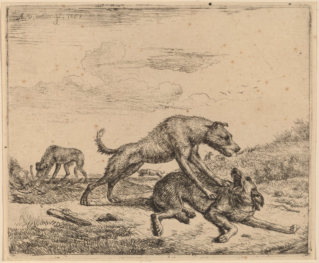 Harci kutyák alkotó: Adriaen van de Velde