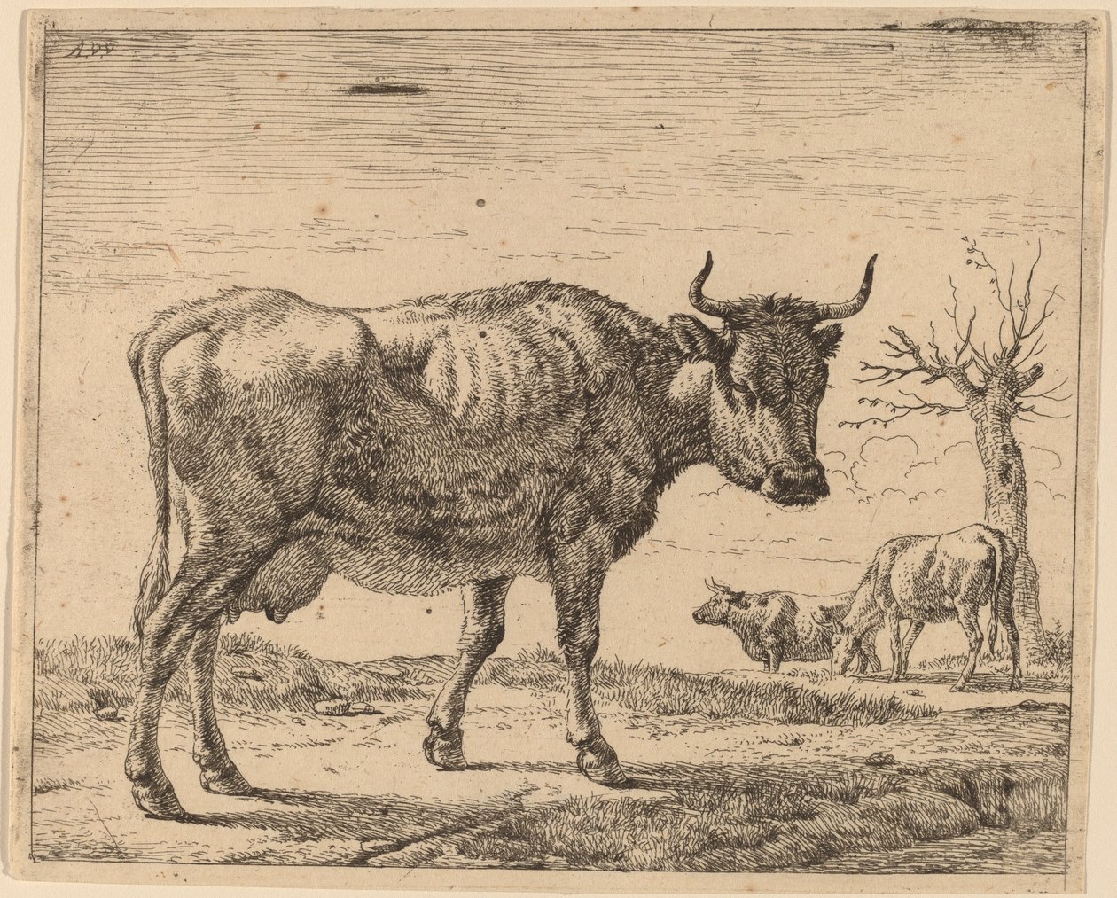 Három tehén alkotó: Adriaen van de Velde