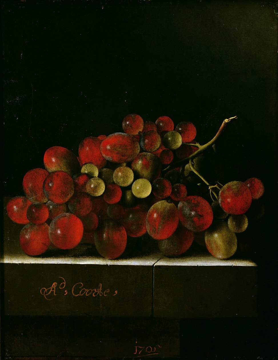 Szőlőfürt, 1705 (olaj, papír a panelen) alkotó: Adrian Coorte