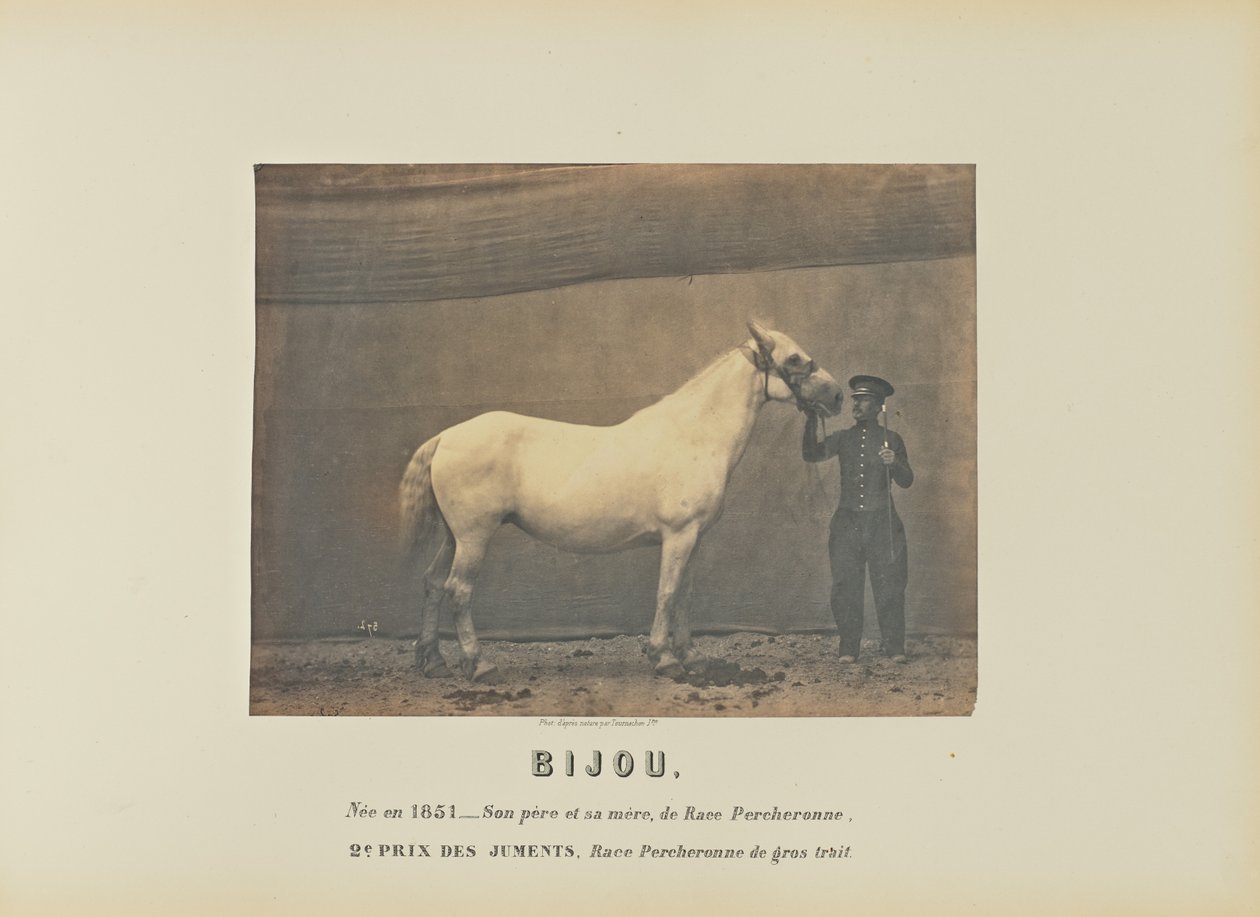 Bijou alkotó: Adrien Alban Tournachon