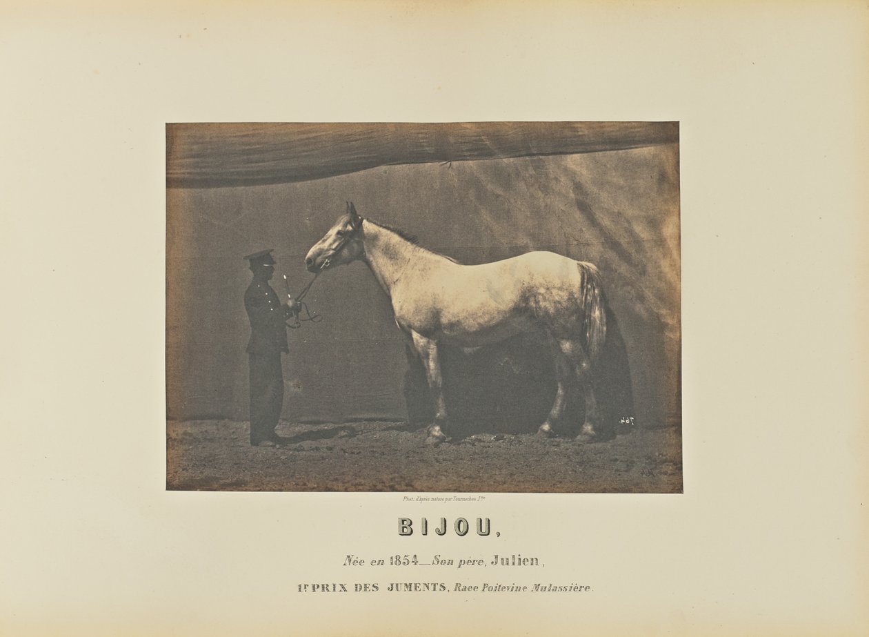 Bijou alkotó: Adrien Alban Tournachon
