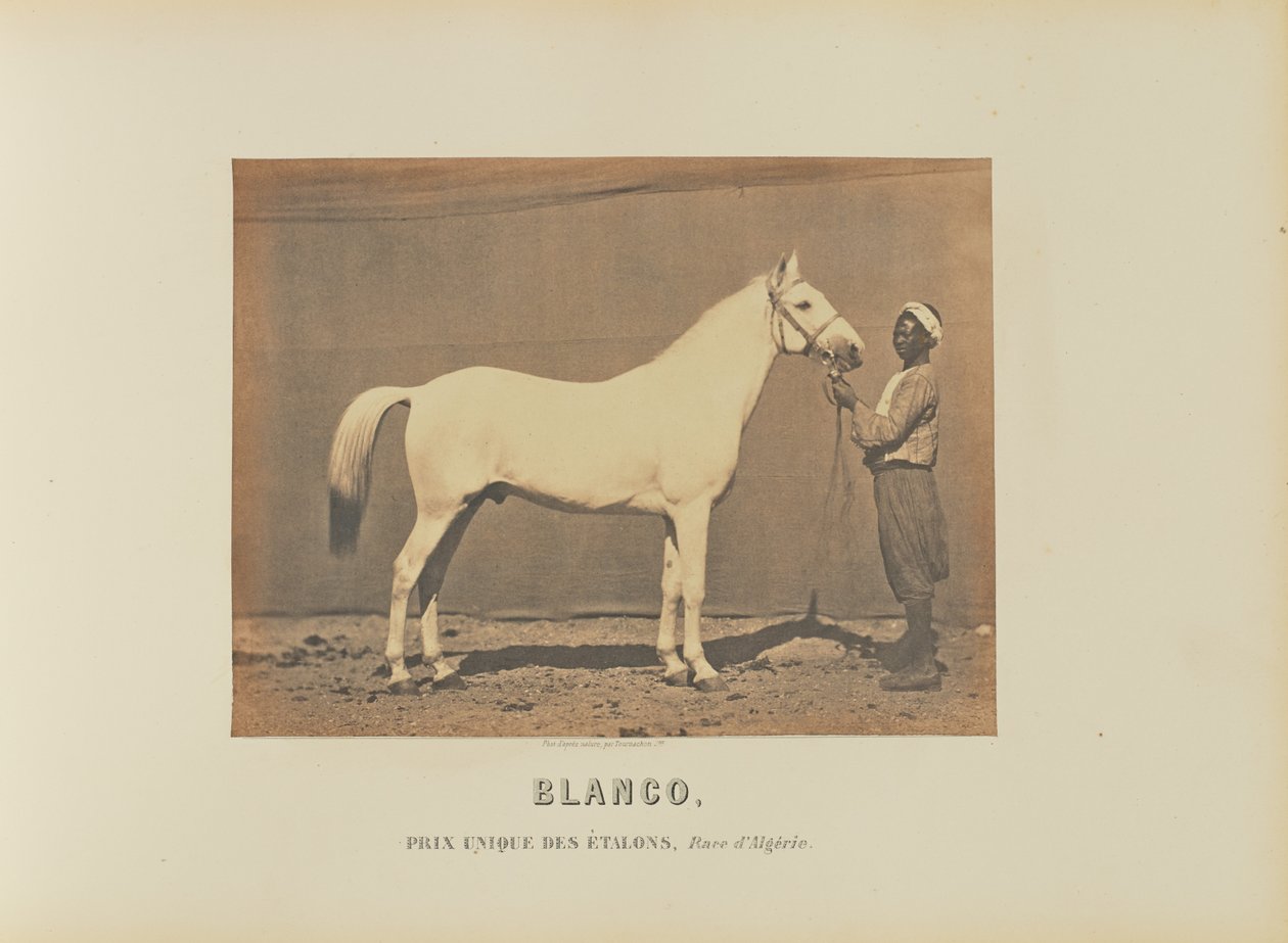 Blanco alkotó: Adrien Alban Tournachon