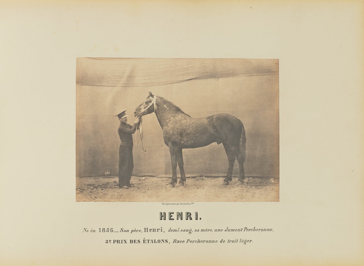 Henri alkotó: Adrien Alban Tournachon