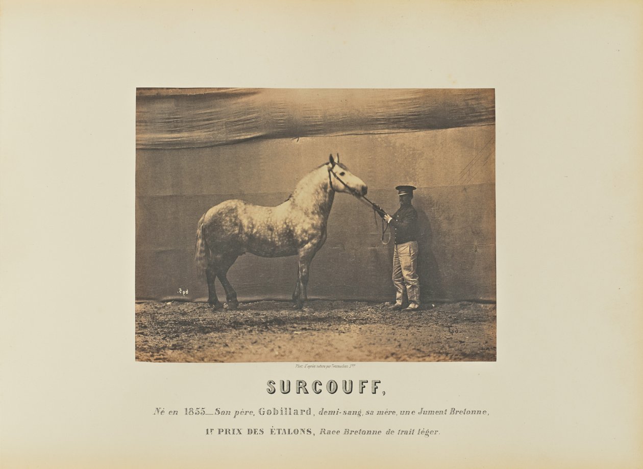 Surcouff alkotó: Adrien Alban Tournachon