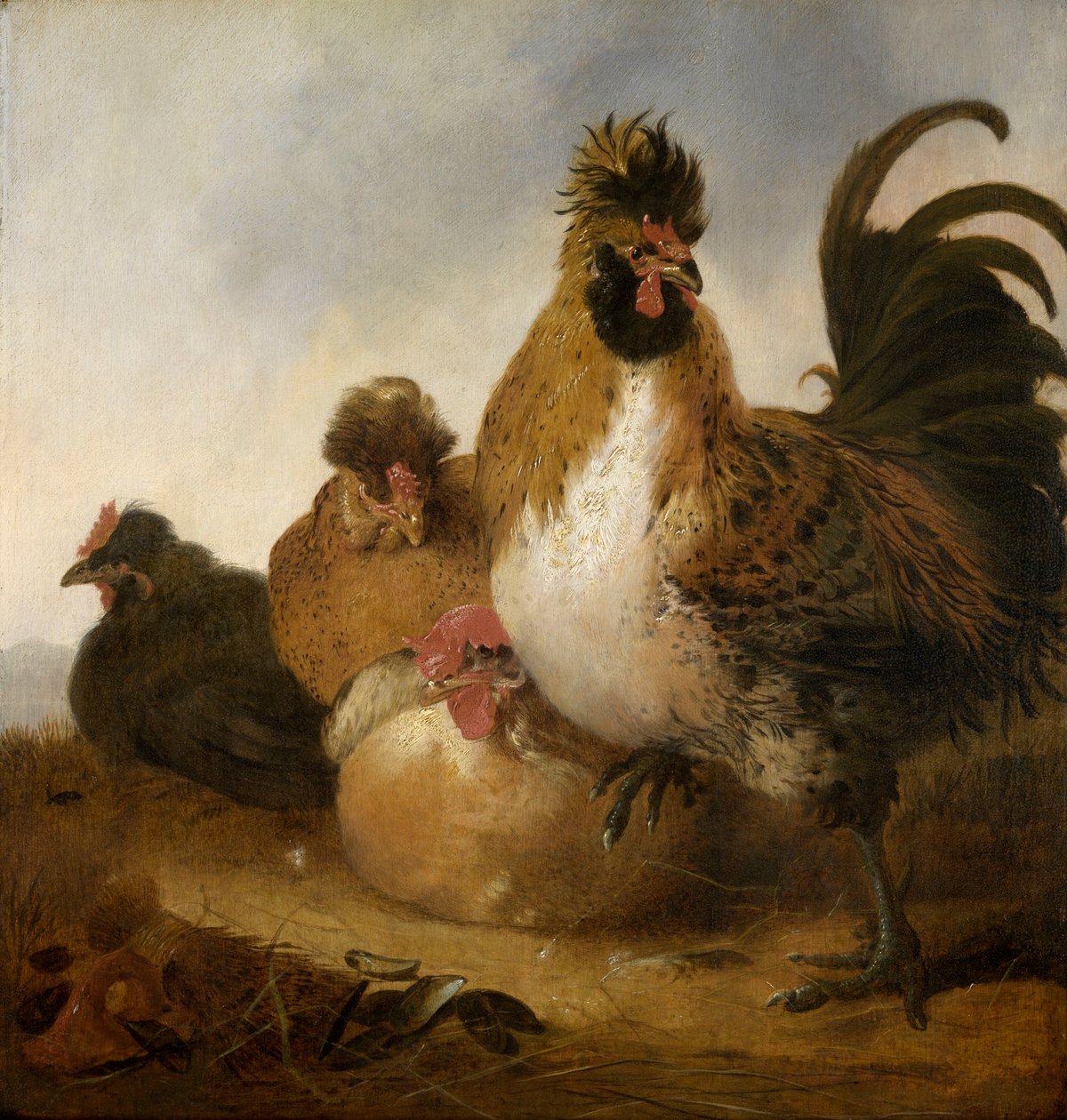 Egy kakas és tyúkok (olaj a panelen) alkotó: Aelbert Cuyp