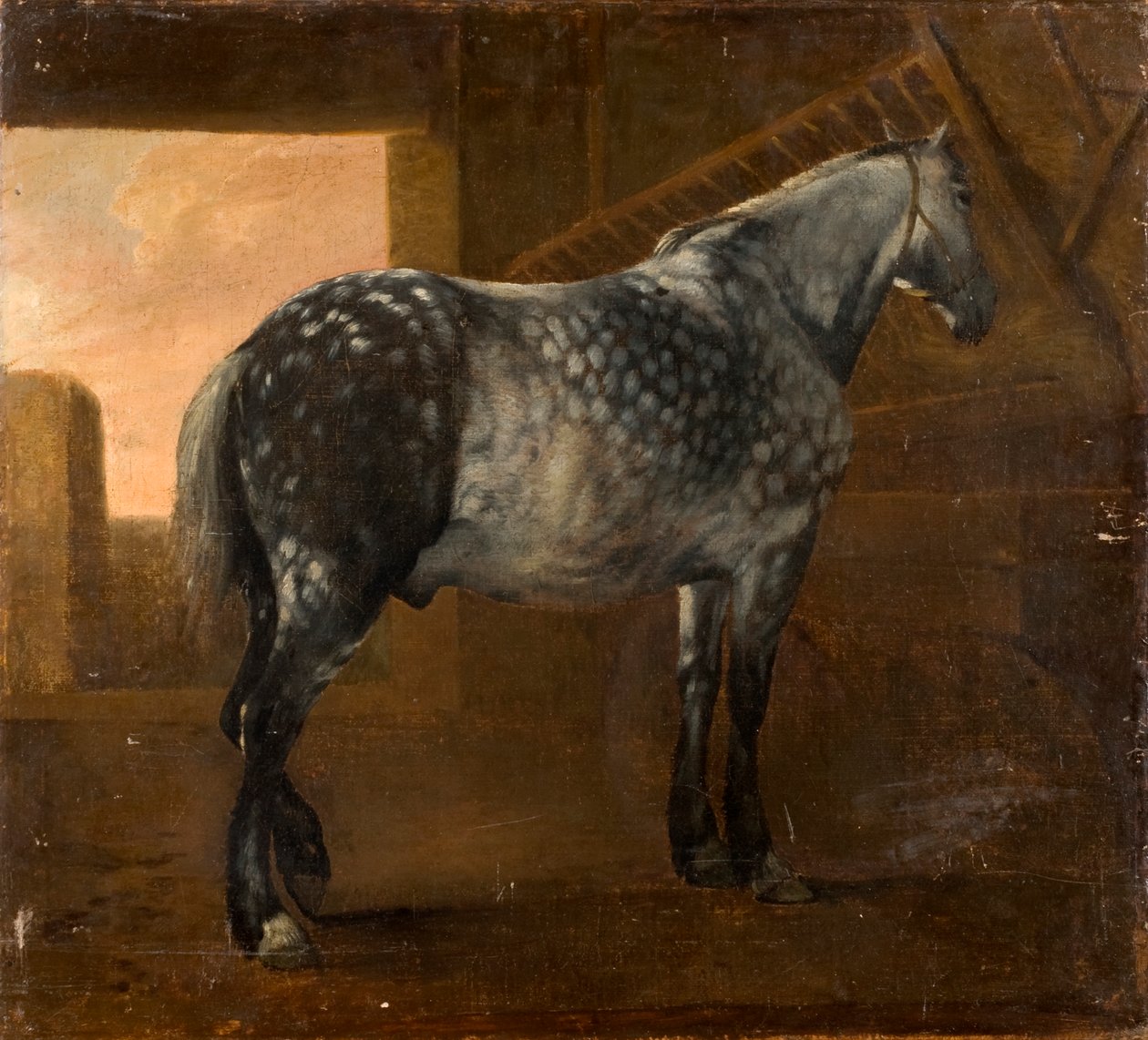 Egy törpeszürke ló alkotó: Aelbert Cuyp