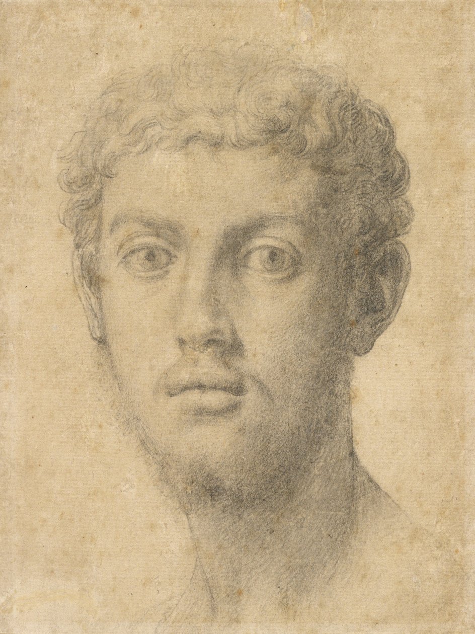 Egy férfi feje alkotó: Agnolo Bronzino