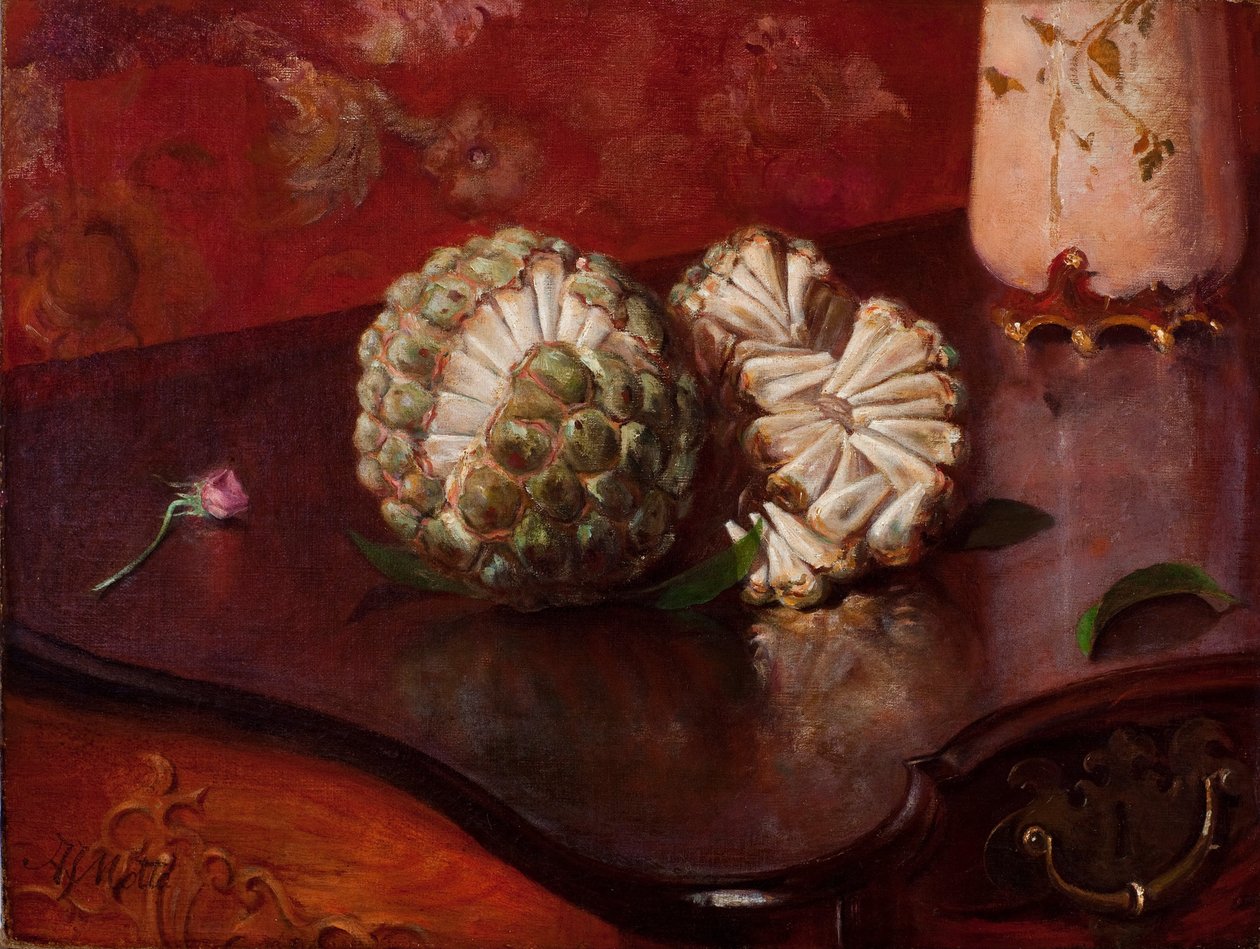 Sweetsop alkotó: Agostinhoda Motta