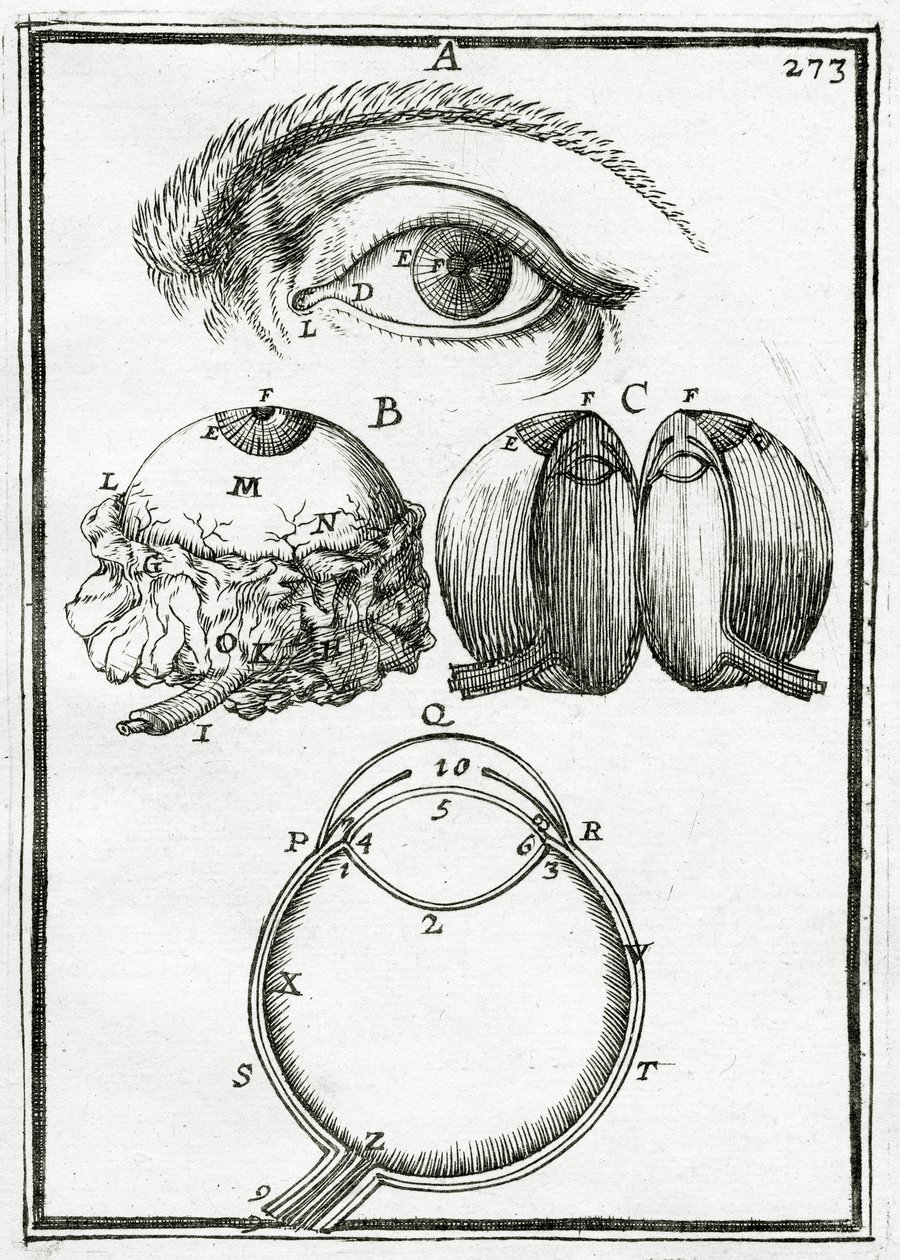 Illusztráció a La Geometrie Pratique 1702-ből, alkotó: Alain Manesson Mallet