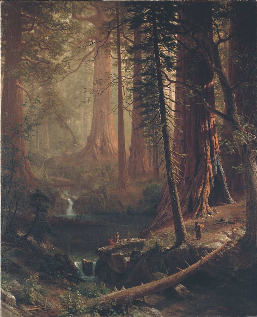 Óriás Redwood fák Kaliforniában alkotó: Albert Bierstadt