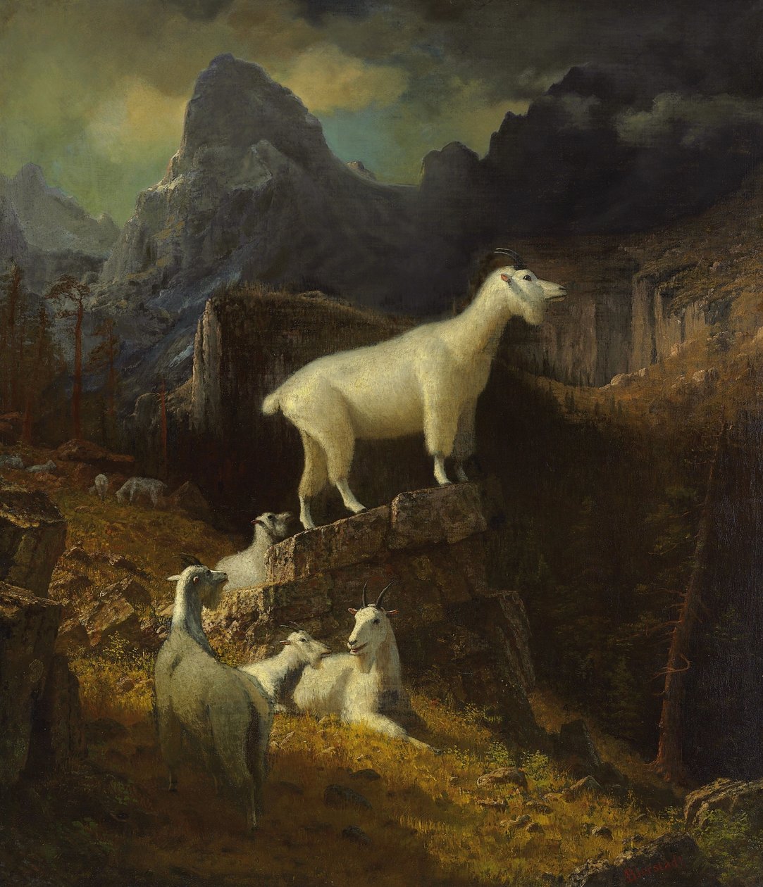 Sziklás hegyi kecskék alkotó: Albert Bierstadt