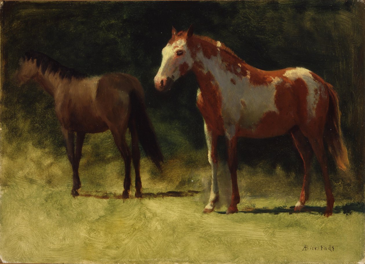 Két ló alkotó: Albert Bierstadt