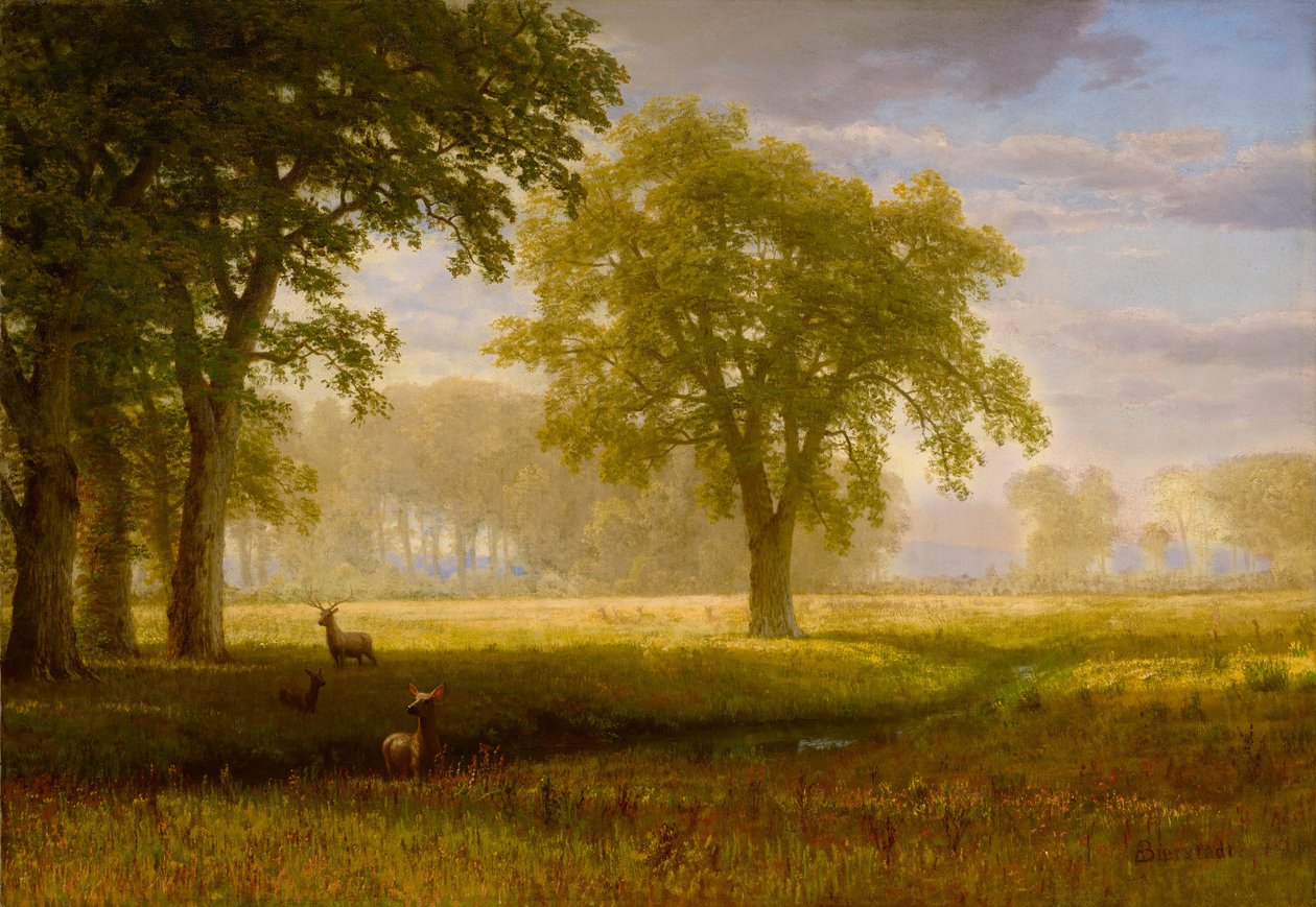 Elk in Oak Grove (Tuolumne Meadows) alkotó: Albert Bierstadt