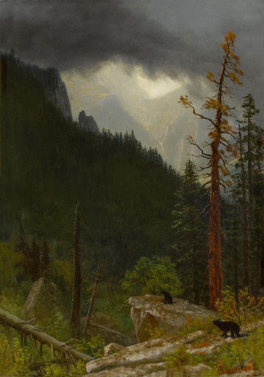 Sziklás hegyek vihar után alkotó: Albert Bierstadt