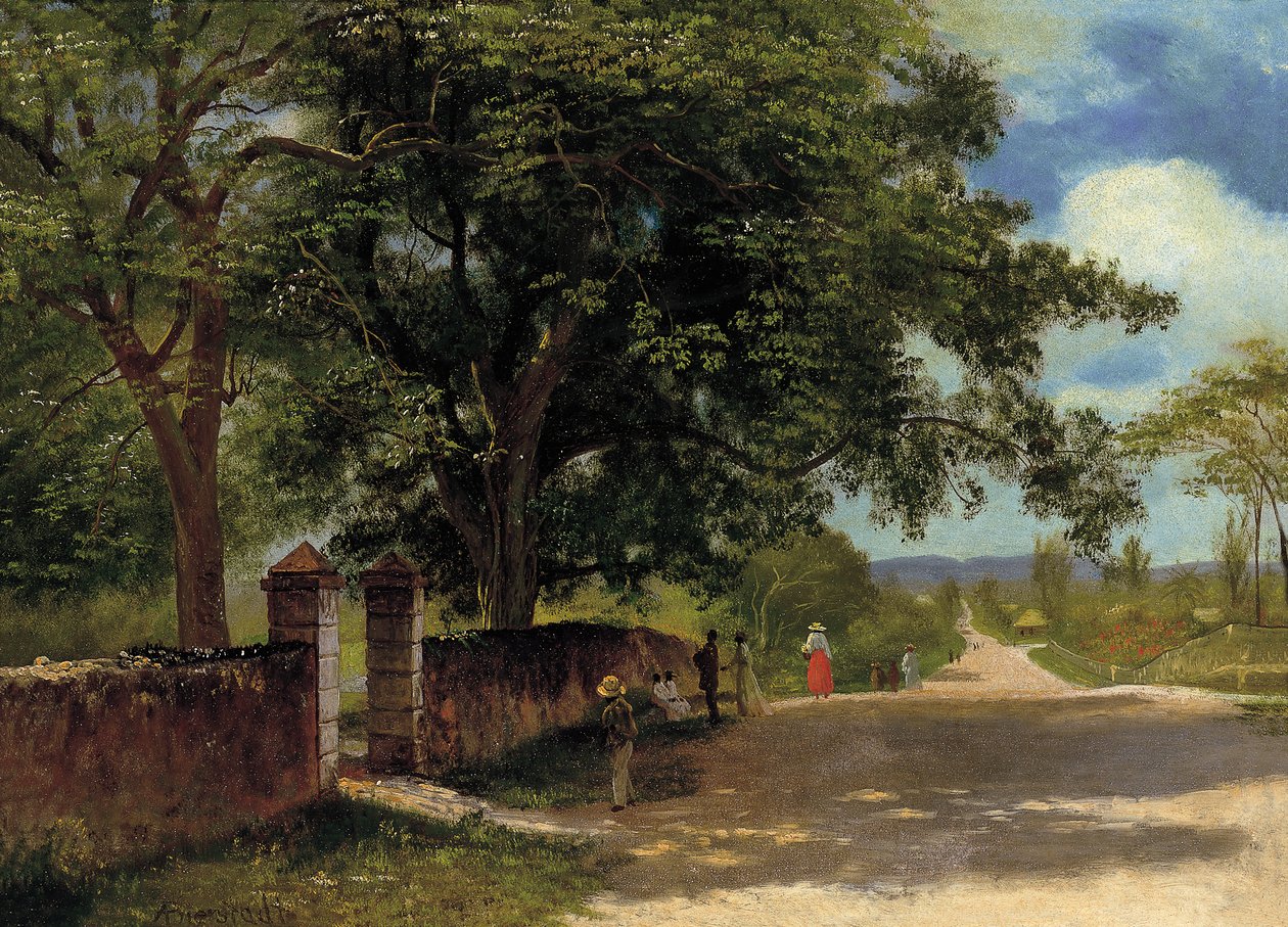 Street in Nassau alkotó: Albert Bierstadt