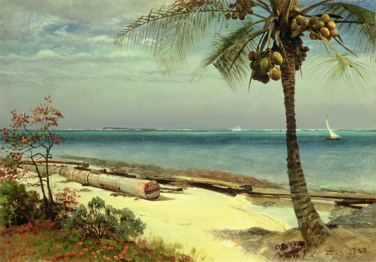 Ismeretlen kép alkotó: Albert Bierstadt