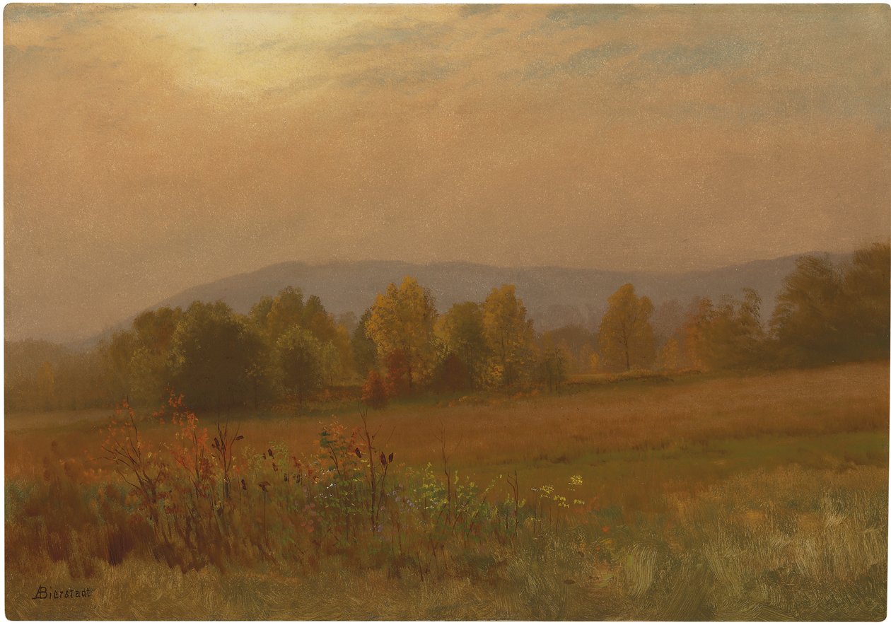 Ismeretlen kép alkotó: Albert Bierstadt