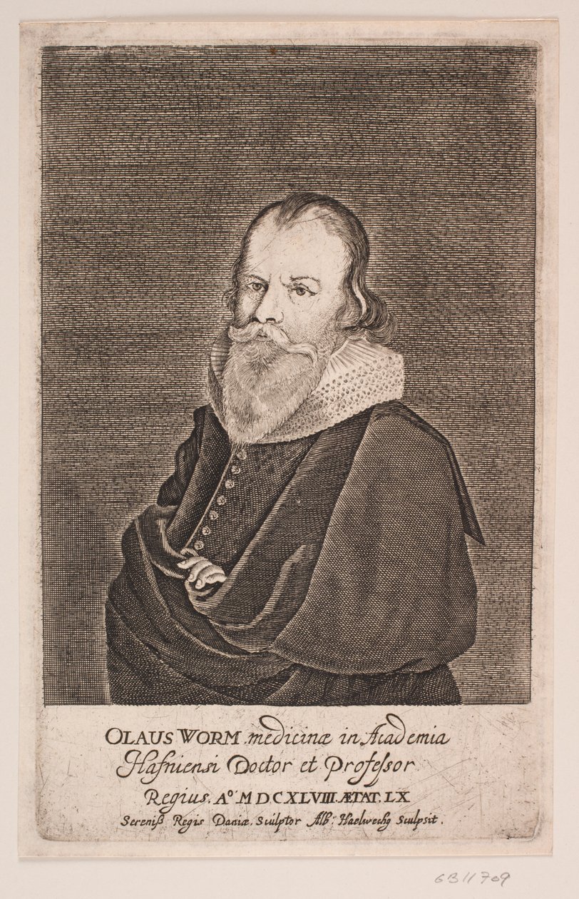 Ole Worm alkotó: Albert Haelwegh