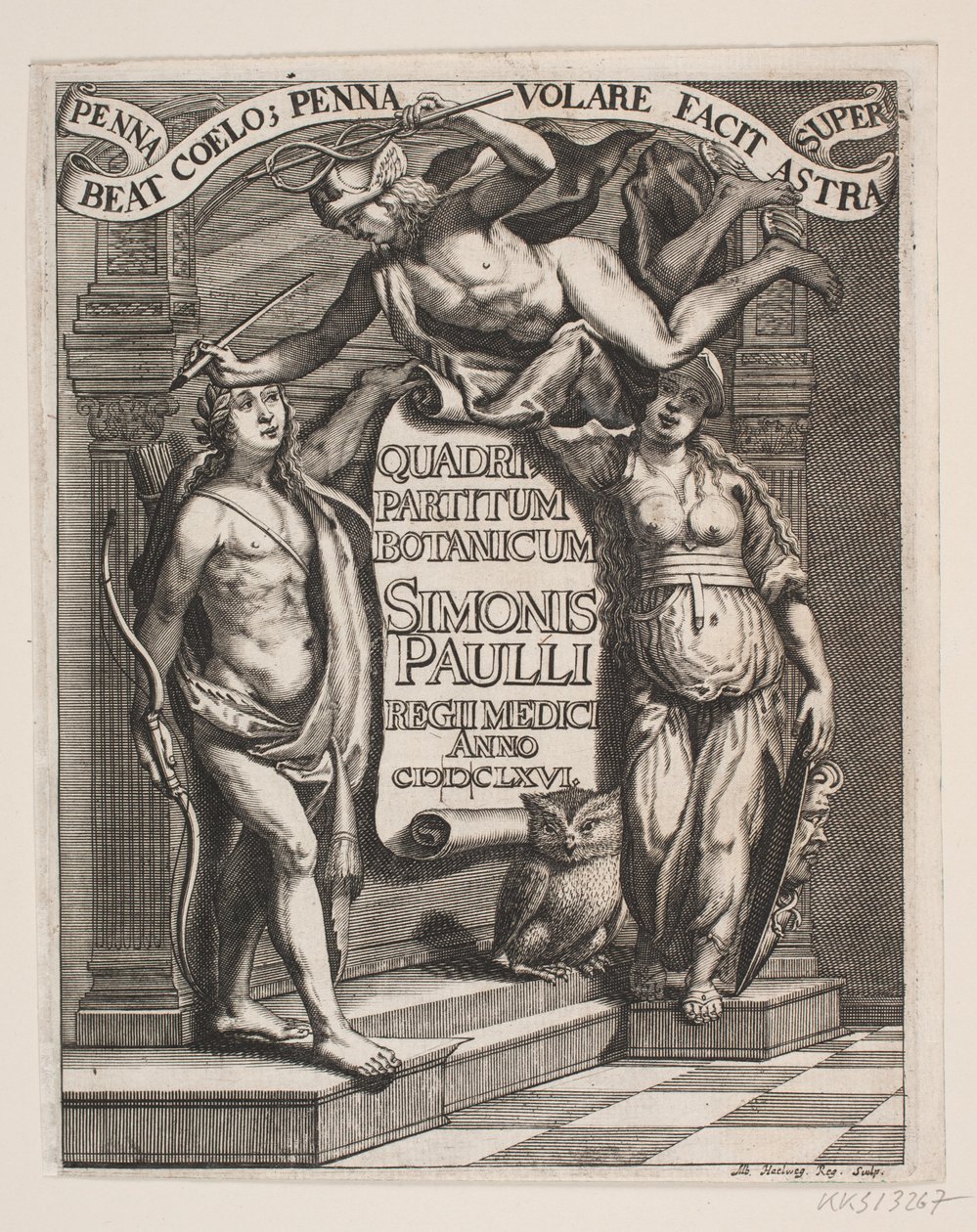 Titelblad til Simon Paulli, "Quadripartitum Botanicum", 1667 alkotó: Albert Haelwegh