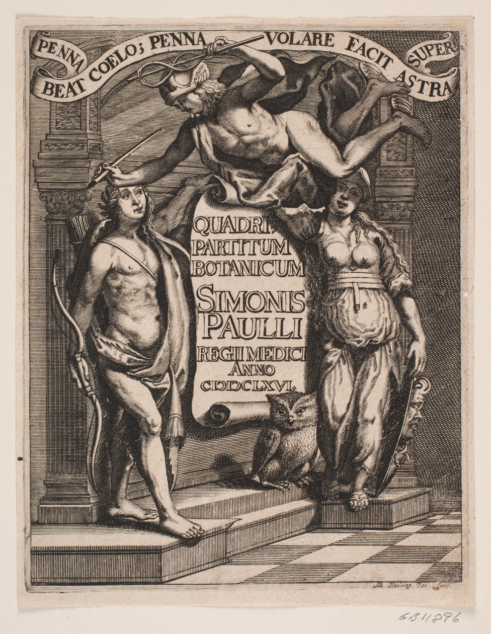 Titelblad til Simon Paulli, "Quadripartitum Botanicum", 1667 alkotó: Albert Haelwegh